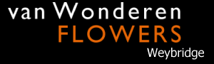 van wonderen flowers Weybridge
